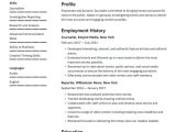 Resume Skills Section Sample social Media Journalist Resume Examples & Writing Tips 2022 (free Guide)