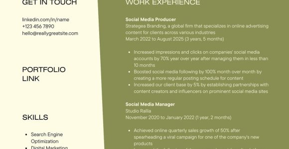 Resume Skills Section Sample social Media Olive Green Light Yellow Color Blocks social Media Manager Resume …