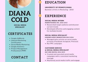 Resume Skills Section Sample social Media social Media Specialist Resume Samples & Templates [pdflancarrezekiqdoc] 2022 …