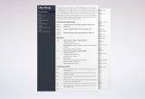 Resume Summary and Museum and Emerging Student and Sample Artist Cv Example (template & Guide with 20lancarrezekiq Tips)