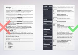 Resume Summary and Museum and Emerging Student and Sample Artist Resume: 20lancarrezekiq Templates & Best Examples for All Artists
