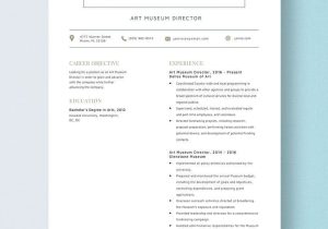 Resume Summary and Museum and Emerging Student and Sample Free Free Art Museum Director Resume Template – Word, Apple Pages …