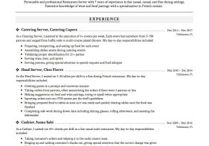 Resume Summary Sample for A Server Server Resume & Writing Guide   17 Examples (free Downloads) 2020