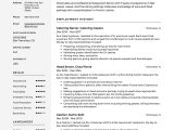 Resume Summary Sample for A Server Server Resume & Writing Guide   17 Examples (free Downloads) 2020