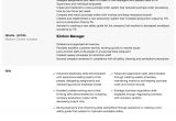 Resume Summary Sample for Operations Manager Operations Manager Resume Samples All Experience Levels Resume …