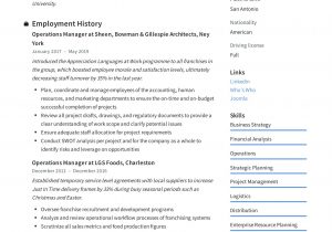 Resume Summary Sample for Operations Manager Operations Manager Resume & Writing Guide  12 Examples Pdf