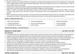 Resume Summary Samples for A Sales Manager Sales Manager Resume Examples & Template (with Job Winning Tips)
