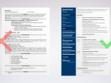 Resume Summary Samples for College Freshman College Freshman Resume Example & Writing Guide