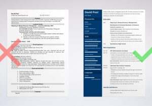 Resume Summary Samples for College Freshman College Freshman Resume Example & Writing Guide