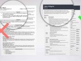 Resume Summary Samples for It Professionals Professional Resume Summary Examples (25lancarrezekiq Statements)