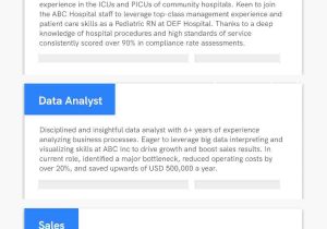 Resume Summary Samples for It Professionals Professional Resume Summary Examples (25lancarrezekiq Statements)