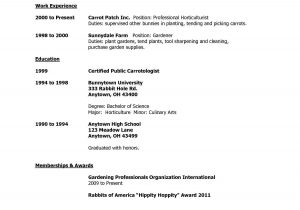 Resume Template First Job High School Resume format High School Graduate , #format #graduate #resume …