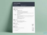 Resume Template for 10 Years Experience Best Resume format 2022 (3lancarrezekiq Professional Samples)