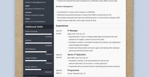 Resume Template for 10 Years Experience Best Resume format 2022 (3lancarrezekiq Professional Samples)