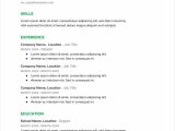 Resume Template for 18 Year Old 15lancarrezekiq Editable Cv Templates for Free Download