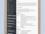 Resume Template for 2 Years Experience Best Resume format 2022 (3lancarrezekiq Professional Samples)