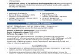 Resume Template for 2 Years Experience Sample Resume for An Experienced It Developer Monster.com