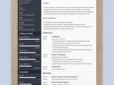 Resume Template for 3 Years Experience Best Resume format 2022 (3lancarrezekiq Professional Samples) Resume Template for 3 Years Experience Best Resume format 2022 (3lancarrezekiq Professional Samples)