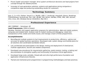 Resume Template for A Lot Of Experience Programmer Resume Template Monster.com