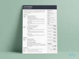 Resume Template for A Lot Of Information 15 One Page Resume Templates [examples Of 1 Page format]