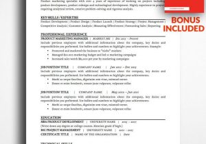 Resume Template for A Lot Of Information Products – Bestresumes.info Simple Resume Template, Business …