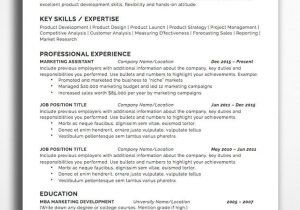 Resume Template for A Lot Of Information Professional Resume & Cv Templates – Bestresumes.co Job Resume …