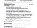 Resume Template for Apartment Property Manager Property Manager Resume Sample and Tips Resume Skills, Manager …