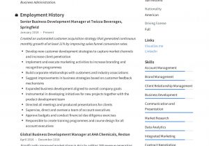 Resume Template for Business Development Manager Business Development Executive Cv format November 2021