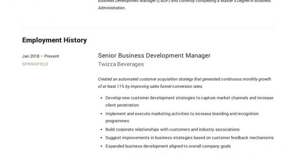 Resume Template for Business Development Manager Business Development Manager Resume Sample Manager Resume …