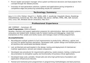Resume Template for Experienced It Professionals Programmer Resume Template Monster.com