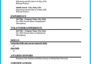 Resume Template for First Job No Experience First Job Simple Resume Sample – Budee Budee thats All Curriculum …