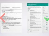Resume Template for Food Service Industry Food Service Resume Examples [with Skills & Job Description]
