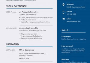 Resume Template for Freshers with Photo Accounting Resume Sample 2020 Career Guidance