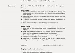Resume Template for Long Term Employment Cv Template Youth Worker – Resume format Resume Objective …