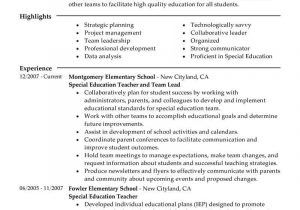 Resume Template for Team Lead Position Best Team Lead Resume Example From Professional Resume Writing Service