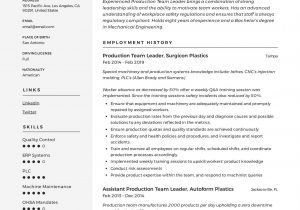 Resume Template for Team Lead Position Cv for Team Leader – Best Team Lead Resume Example Livecareer