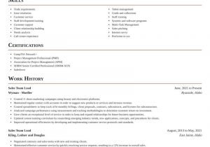 Resume Template for Team Lead Position Sales Team Lead Resume Generator & Sample Rocket Resume