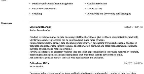 Resume Template for Team Lead Position Team Leader Resume Samples All Experience Levels Resume.com …