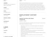 Resume Template for Truck Driving Job Truck Driver Resume & Writing Guide  12 Resume Examples 2019
