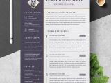 Resume Template Free Download for software Developer Senior software Developer Resume – Resumeinventor