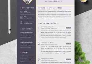 Resume Template Free Download for software Developer Senior software Developer Resume – Resumeinventor
