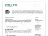 Resume Template Free Download for software Developer top 3 Free software Developer Resume/cv Templates (html5 Printable)