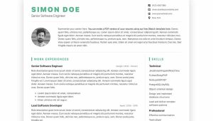 Resume Template Free Download for software Developer top 3 Free software Developer Resume/cv Templates (html5 Printable)
