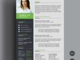 Resume Template Free Download with Picture Free Clean Cv/resume Template On Behance
