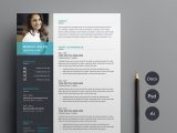 Resume Template with Only One Job Clean Cv Resume Template by anda Lia On Dribbble