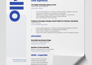 Resume Template with Quotes On Side 12 Best Free Resume Templates   Tips On How to Stand Out – Easil …