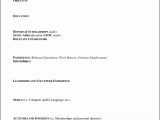 Resume Templates for 16 Year Olds Resume for 16 Year Olds Fresh Resume for 16 Year Old Unique Resume …