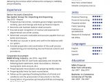Resume Templates for Accounting and Finance Accountant Resume Example Cv Sample [2020] – Resumekraft