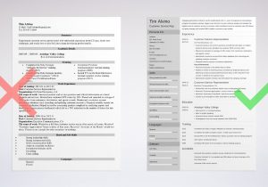 Resume Templates for Customer Service Jobs Customer Service Representative Resume Examples 2021