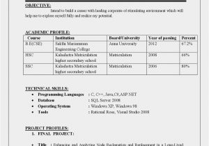 Resume Templates for Freshers Engineers Free Download Civil Engineering